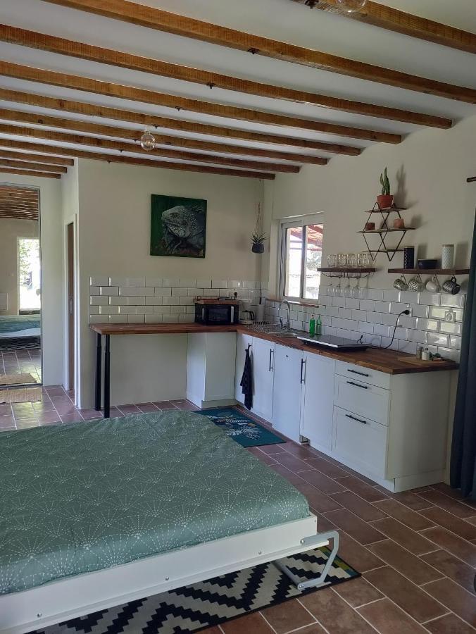 Apartament Chez Chapelle In The Heart Of The Gascony With Pool And Hot Tub Auch Zewnętrze zdjęcie