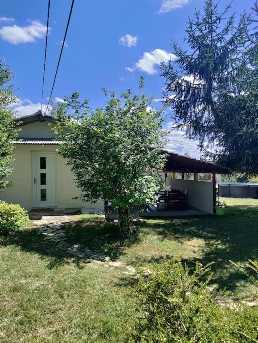 Apartament Chez Chapelle In The Heart Of The Gascony With Pool And Hot Tub Auch Zewnętrze zdjęcie