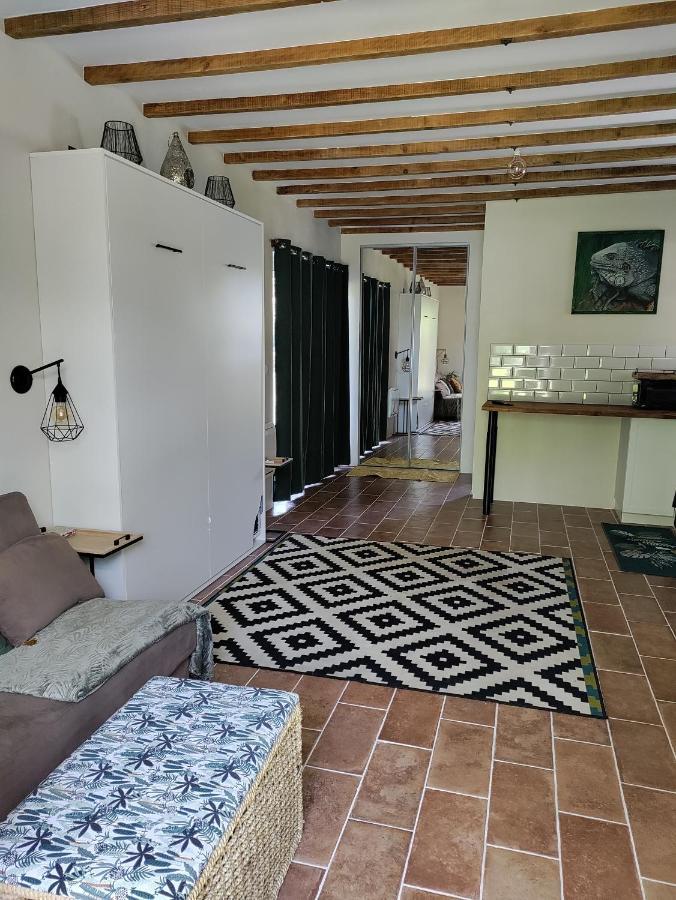 Apartament Chez Chapelle In The Heart Of The Gascony With Pool And Hot Tub Auch Zewnętrze zdjęcie