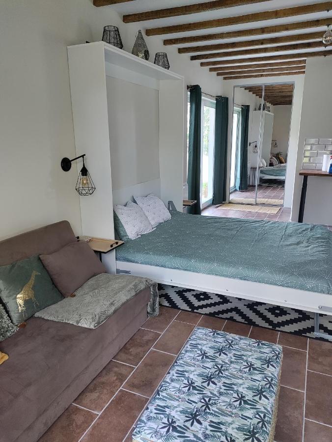 Apartament Chez Chapelle In The Heart Of The Gascony With Pool And Hot Tub Auch Zewnętrze zdjęcie