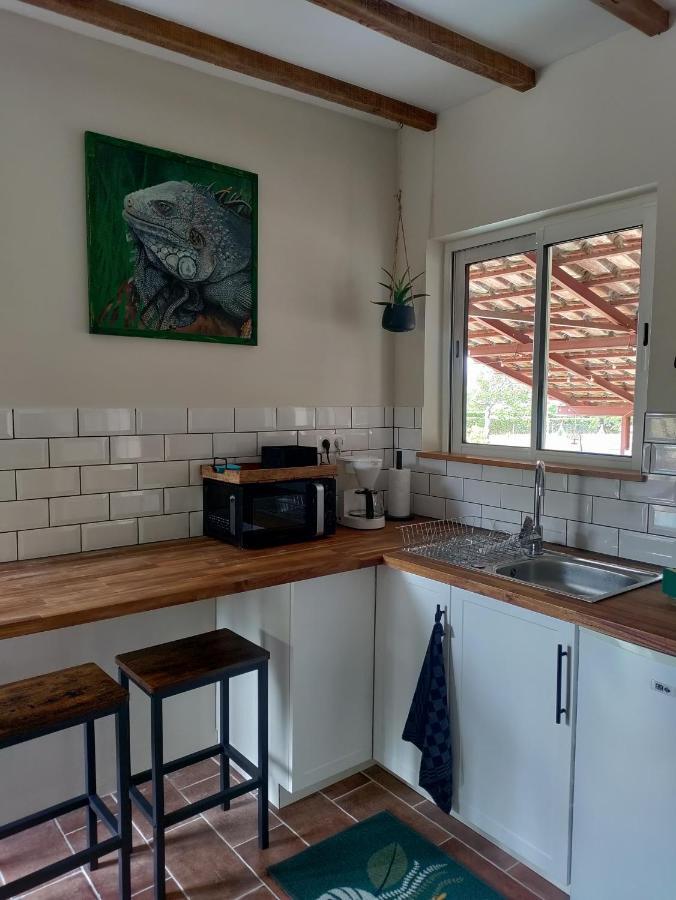 Apartament Chez Chapelle In The Heart Of The Gascony With Pool And Hot Tub Auch Zewnętrze zdjęcie